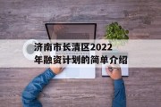 济南市长清区2022年融资计划的简单介绍