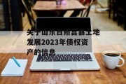 关于山东日照莒县土地发展2023年债权资产的信息