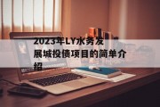 2023年LY水务发展城投债项目的简单介绍