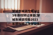 邹城市城资控股2023年债权转让项目(邹城市城资控股2023年债权转让项目公告)