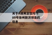 关于A级央企信托-509号徐州新沂项目的信息