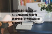 国企信托-星石2304052咸阳城发集合资金信托计划(咸阳新城控股)