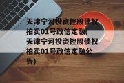 天津宁河投资控股债权拍卖01号政信定融(天津宁河投资控股债权拍卖01号政信定融公告)