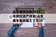 山东泰丰控股2023年债权资产项目(山东泰丰集团复工了没2020年)