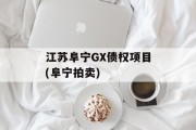 江苏阜宁GX债权项目(阜宁拍卖)