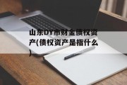 山东DY市财金债权资产(债权资产是指什么)