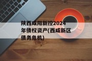 陕西咸阳新控2024年债权资产(西咸新区债务危机)