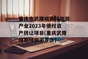 重庆市武隆喀斯特旅游产业2023年债权资产转让项目(重庆武隆喀斯特旅游景区)