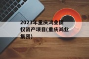 2023年重庆鸿业债权资产项目(重庆鸿业集团)