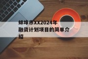 蚌埠市XX2024年融资计划项目的简单介绍