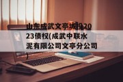 山东成武文亭城投2023债权(成武中联水泥有限公司文亭分公司)