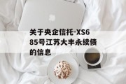 关于央企信托-XS685号江苏大丰永续债的信息