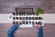 央企信托-206号山东寿光公开城投债券(信托公司是干什么的)