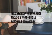 包含山东邹城市城资控股2023年债权转让城投债定融的词条