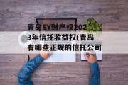 青岛SY财产权2023年信托收益权(青岛有哪些正规的信托公司)