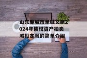 山东邹城市圣城文旅2024年债权资产拍卖城投定融的简单介绍