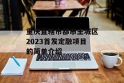 重庆直辖市都市主城区2023首发定融项目的简单介绍