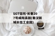 SGT信托-长秦207号咸阳高新(秦汉新城长信工业园)