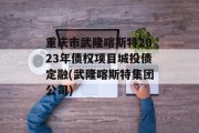 重庆市武隆喀斯特2023年债权项目城投债定融(武隆喀斯特集团公司)