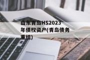 山东青岛HS2023年债权资产(青岛债务重组)