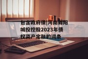 包含政府债|河南舞阳城投控股2023年债权资产定融的词条