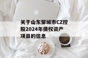 关于山东邹城市CZ控股2024年债权资产项目的信息