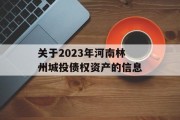 关于2023年河南林州城投债权资产的信息