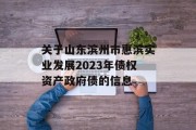 关于山东滨州市惠滨实业发展2023年债权资产政府债的信息