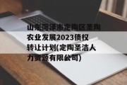 山东菏泽市定陶区圣陶农业发展2023债权转让计划(定陶圣洁人力资源有限公司)