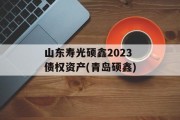 山东寿光硕鑫2023债权资产(青岛硕鑫)