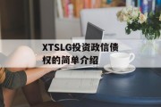 XTSLG投资政信债权的简单介绍