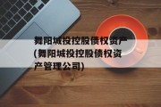 舞阳城投控股债权资产(舞阳城投控股债权资产管理公司)