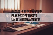 山东菏泽鄄城恒源城市开发2023年债权转让(鄄城恒源公司董事长)