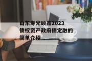 山东寿光硕鑫2023债权资产政府债定融的简单介绍