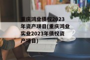 重庆鸿业债权2023年资产项目(重庆鸿业实业2023年债权资产项目)
