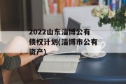 2022山东淄博公有债权计划(淄博市公有资产)