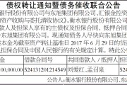 山东潍坊滨海新城城投债权1号、2号(潍坊滨海东城还发展吗)