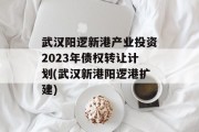 武汉阳逻新港产业投资2023年债权转让计划(武汉新港阳逻港扩建)