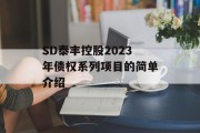 SD泰丰控股2023年债权系列项目的简单介绍