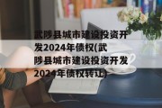 武陟县城市建设投资开发2024年债权(武陟县城市建设投资开发2024年债权转让)