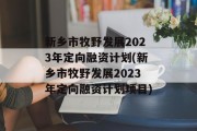 新乡市牧野发展2023年定向融资计划(新乡市牧野发展2023年定向融资计划项目)