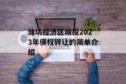 潍坊经济区城投2023年债权转让的简单介绍