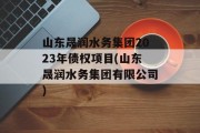 山东晟润水务集团2023年债权项目(山东晟润水务集团有限公司)