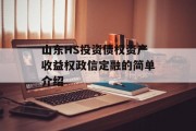 山东HS投资债权资产收益权政信定融的简单介绍