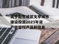 关于山东成武文亭城市建设投资2023年资产收益权产品的信息
