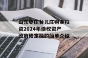 山东枣庄台儿庄财金投资2024年债权资产政府债定融的简单介绍