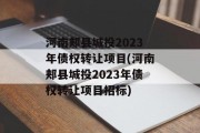 河南郏县城投2023年债权转让项目(河南郏县城投2023年债权转让项目招标)