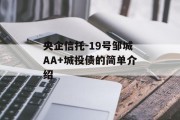 央企信托-19号邹城AA+城投债的简单介绍