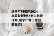 遂宁广利资产2024年收益权转让定向融资计划(遂宁广利工业政府融资)