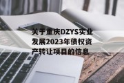 关于重庆DZYS实业发展2023年债权资产转让项目的信息